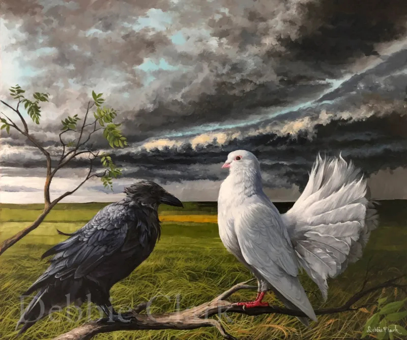 The Overcoming Dove: A stand off between a white dove and a crow as a storm creeps over.
