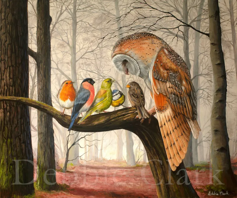 Gentle Wisdom: A robin, greefinch, bullfinch, bluetit and chaffinch.