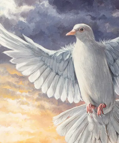 Dove Over Water by Debbie Clark, photo 3