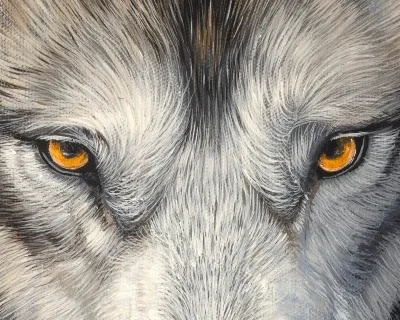 Portrait of a Wolf by Debbie Clark, photo 2