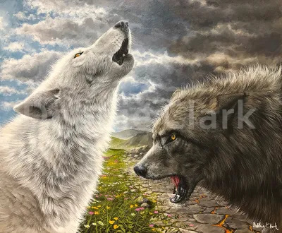 The Two Wolves: An original acrylic painting on canvas featuring a white wolf and a fierce black wolf facing each other.