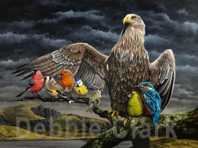 Covered by His Feathers by Debbie Clark, photo 2