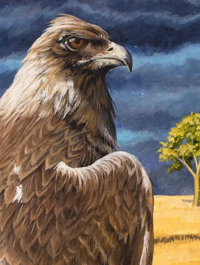 Golden Eagle in the Wheatfield by Debbie Clark, photo 2