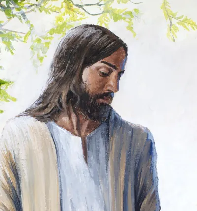 The Good Shepherd by Debbie Clark, photo 7
