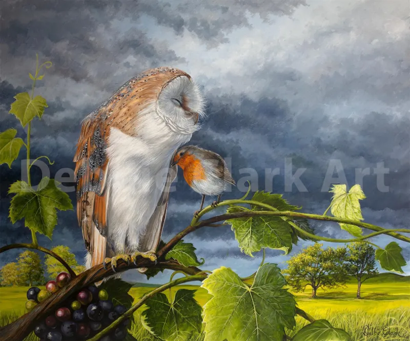 Barn Owl and a Robin: The image is 40cm x 50cm set within and A2 sheet (42cm x 59.4cm) providing a white border.