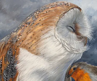 Barn Owl and a Robin by Debbie Clark, photo 6