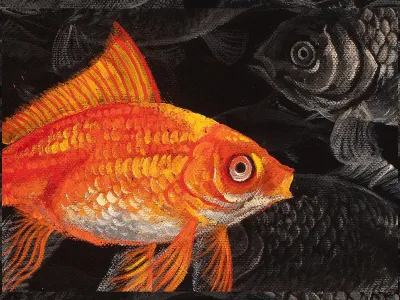 The Goldfish by Debbie Clark, photo 4