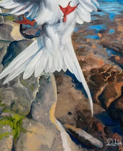 Arctic Terns by the Sea by Debbie Clark, photo 2