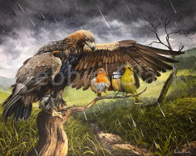 The Secret Place: A golden eagle sheltering a robin, bluetit and greenfinch from the rain.