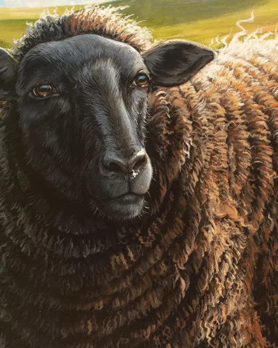 The Black Sheep by Debbie Clark, photo 3