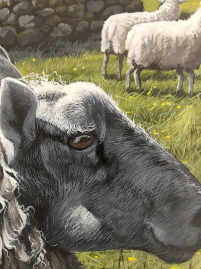 The Sheep of His Pasture by Debbie Clark, photo 2
