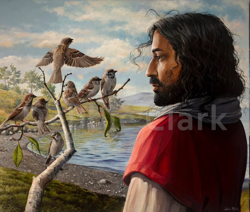 Many Sparrows: A portrait of Jesus Christ looking at some sparrows sitting on a branch.