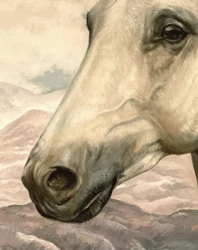 Pale Horse Portrait by Debbie Clark, photo 5
