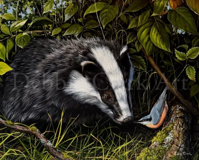 Badger and The Nuthatch: A badger and a nuthatch bird checking each other out surrounded by foliage and grass.