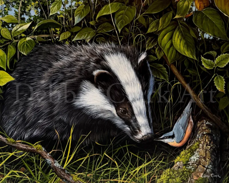 Badger and The Nuthatch: A badger and a nuthatch bird checking each other out surrounded by foliage and grass.