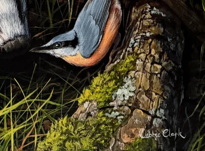 Badger and The Nuthatch by Debbie Clark, photo 8