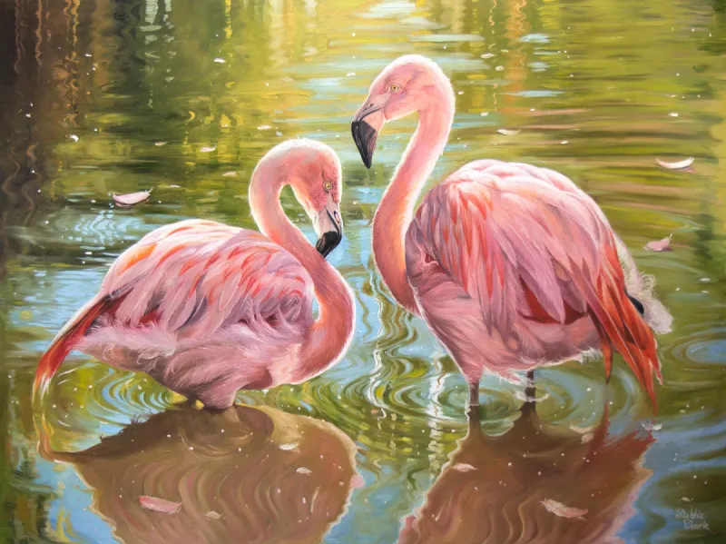 Flamingos in Love: Two pink flamingos in water.