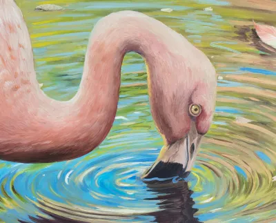 Flamingo in the Water by Debbie Clark, photo 2