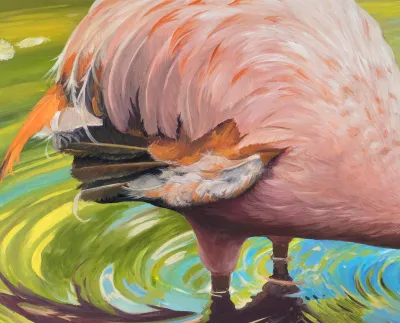 Flamingo in the Water by Debbie Clark, photo 3