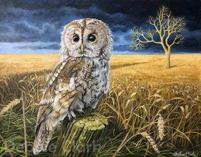 The Guardian: DESCRIPTION A vibrant and detailed acrylic painting of a young tawny owl on the edge of a wheat field.