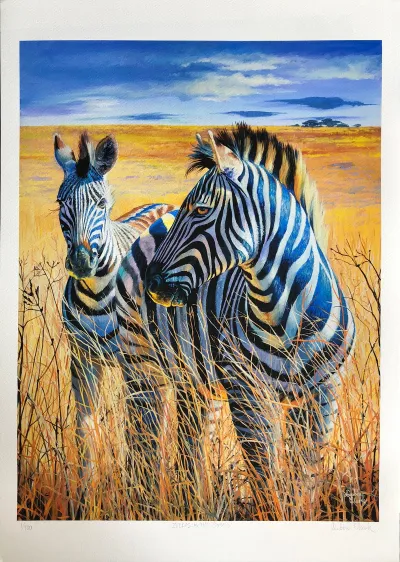 Zebras in the Grass by Debbie Clark, photo 2