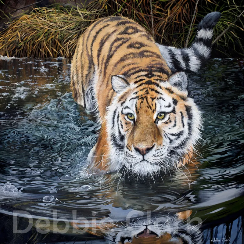 Tiger in Water, oil painting by Debbie Clark