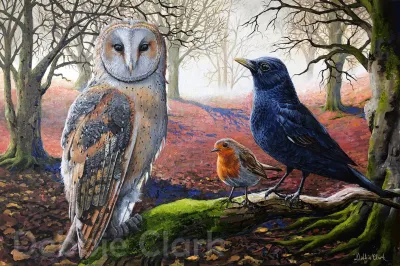 The Gathering: Featuring a barn owl, a robin and a blackbird in an English, misty woodland, rich with vibrant colour and atmosphere.