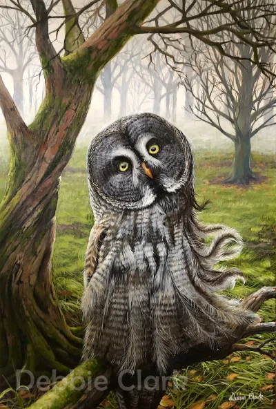 The Great Grey Owl: Style: Illustrative, realism. This differs from country to country. In order for packages to pass through customs seamlessly, I may request a contact number that I can pass on to the courier.