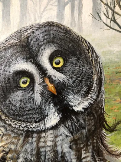 The Great Grey Owl by Debbie Clark, photo 2