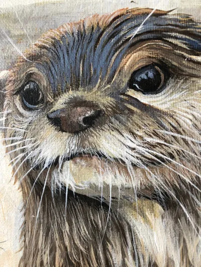 The Otter's Visitor by Debbie Clark, photo 2