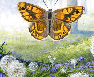 Bluebell Meadow by Debbie Clark, photo 2