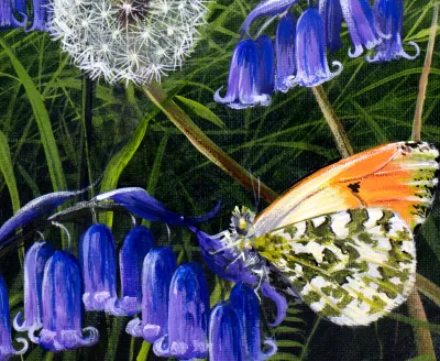 Bluebell Meadow by Debbie Clark, photo 3