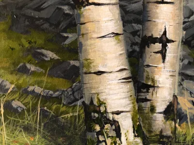 Autumn Silver Birch by Debbie Clark, photo 2