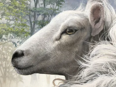 The Sheep and the Goat by Debbie Clark, photo 4