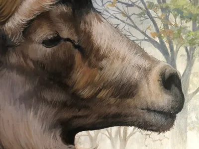 The Sheep and the Goat by Debbie Clark, photo 5