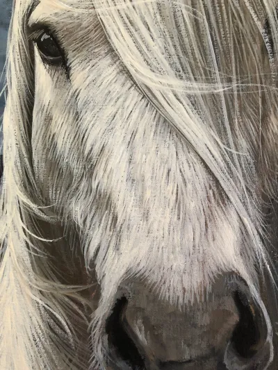 Horse with a Flowing Mane by Debbie Clark, photo 2