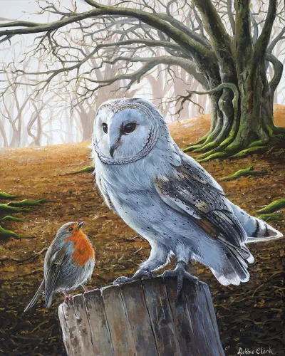 Barn Owl and a Robin by Debbie Clark, photo 2