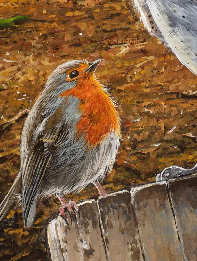 Barn Owl and a Robin by Debbie Clark, photo 4