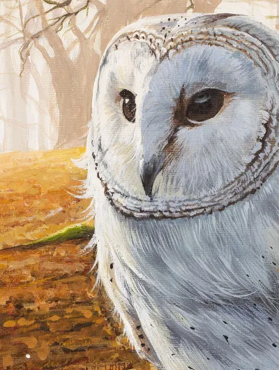 Barn Owl and a Robin by Debbie Clark, photo 3