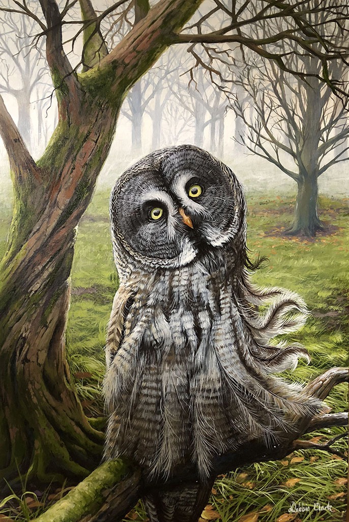 The Great Grey owl