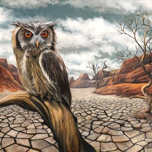 desert owl painting